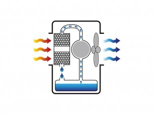 MASTER BC 80 BIO COOLER mobilus oro vėsintuvas