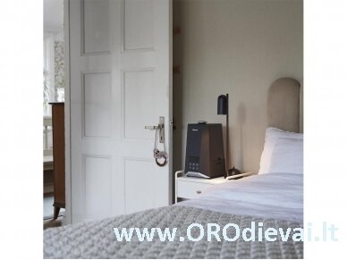 Oro drėkintuvas su aromaterapija WHU600 Wood's 1